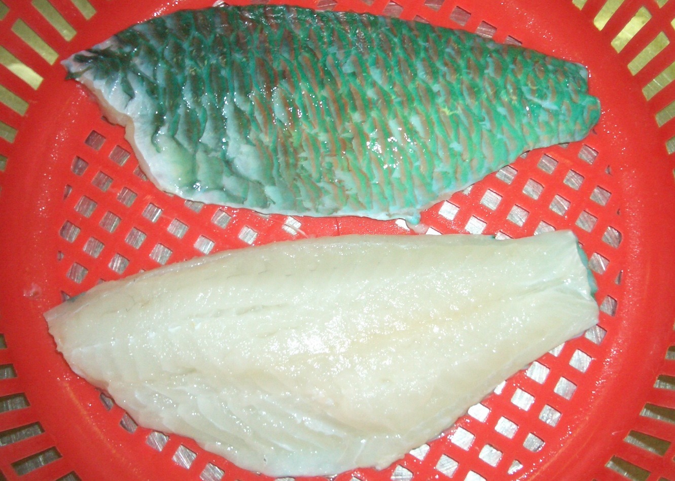 Frozen Parrotfish Fillet Frozen Parrotfish Fillet
